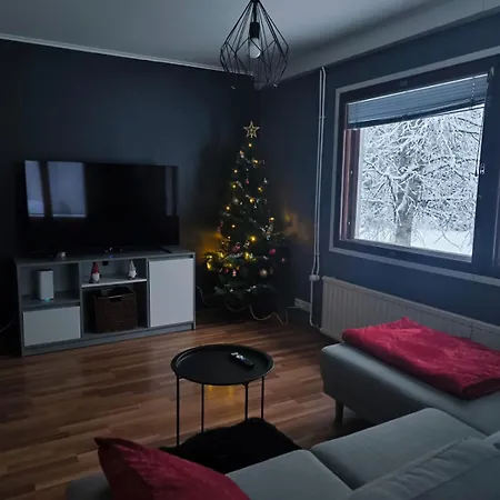 Borealis Traditional Finnish House Holiday home Rovaniemi
