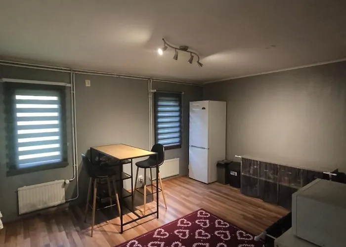 Borealis House 2 * רובניימי